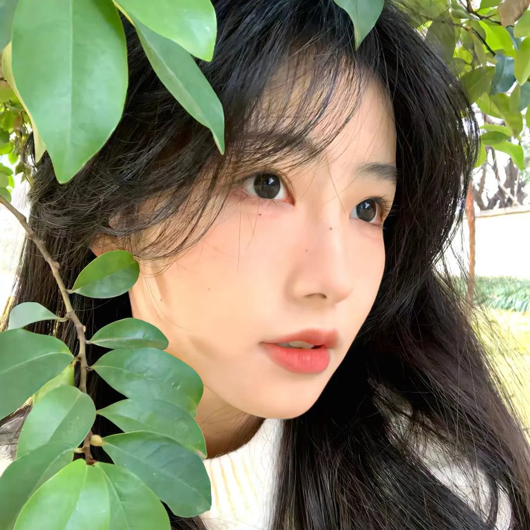 珍妮花的欲望续集