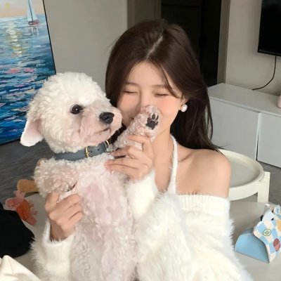 佩吉巷的火枪手