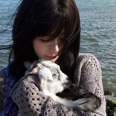 梅与小猫巴士